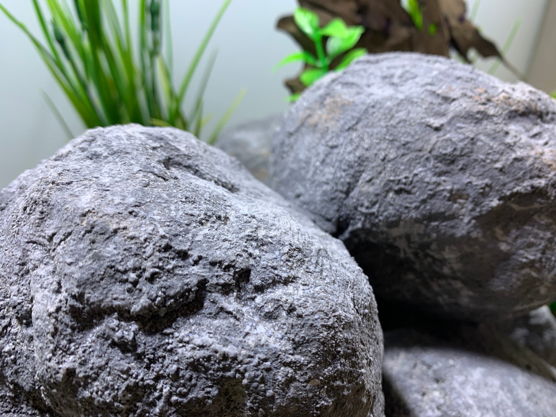 „Detailansicht der Felsstruktur – handgefertigte pH-neutrale Aquarium Höhle aus Zement“