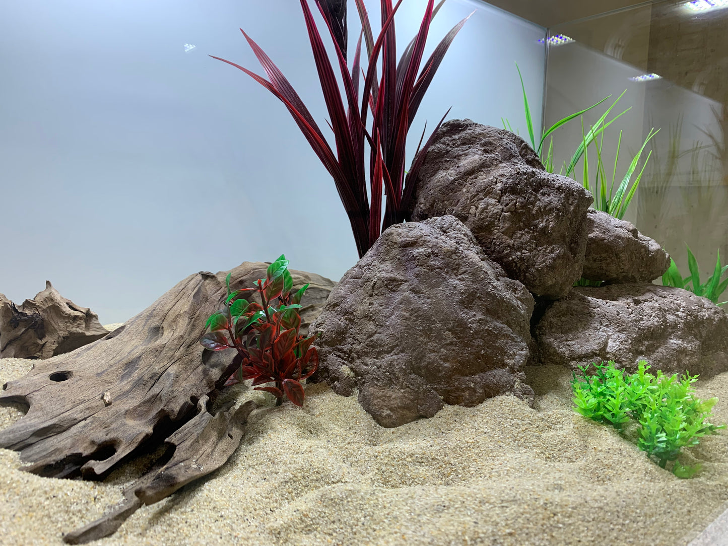 „Seitliche Ansicht einer handgefertigten Barschhöhle – Aquarium Deko Stein mit mehreren Höhlenöffnungen“