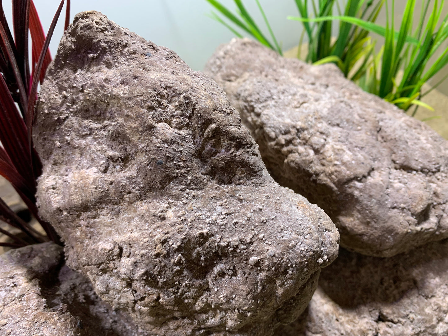 „Detailansicht der Felsstruktur – handgefertigte pH-neutrale Aquarium Höhle aus Zement“