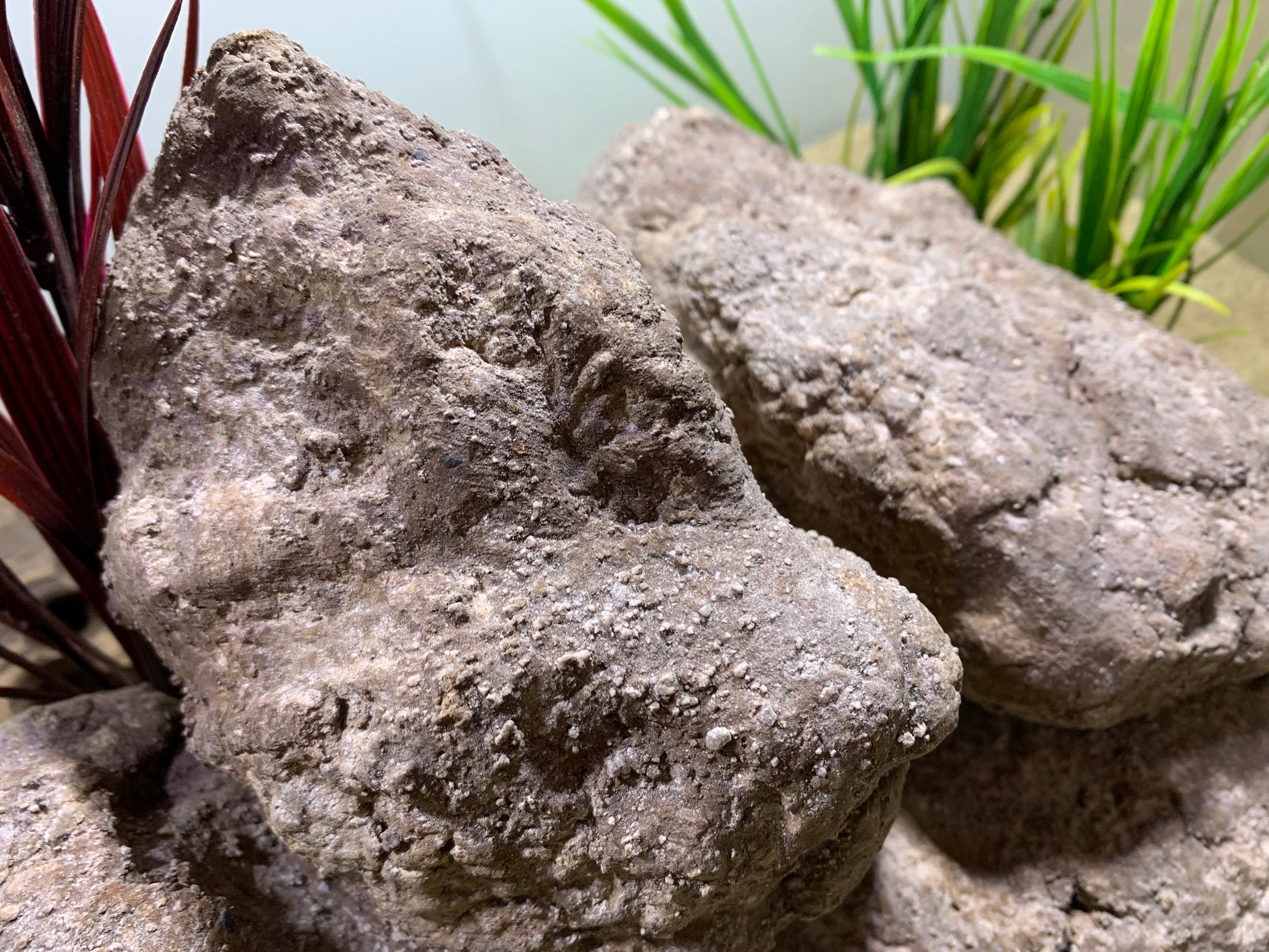 „Detailansicht der Felsstruktur – handgefertigte pH-neutrale Aquarium Höhle aus Zement“