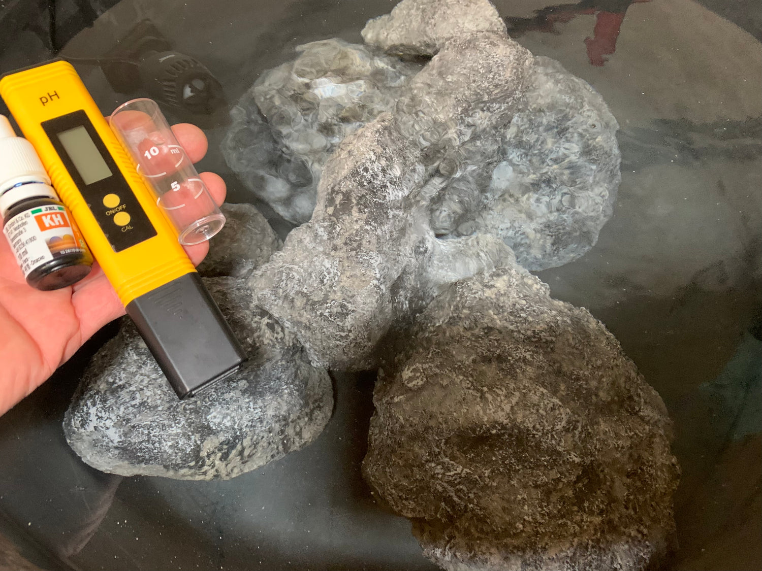 „Wassertest im Malawi-Aquarium: Hand misst mit elektronischem Messgerät und Tropfentest (pH- und KH-Wert) – im Hintergrund natürlicher Lochgestein-Aufbau mit Mbuna-Buntbarschen.“