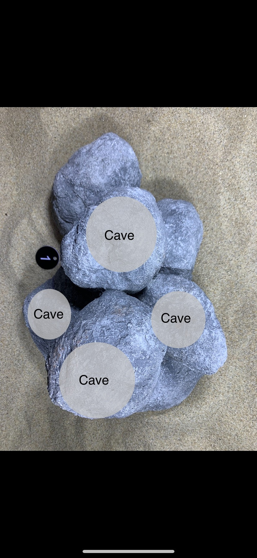 Hellgraue künstliche Felsen mit mehreren runden Höhlenbereichen, geeignet als Versteck für Aquarienbewohner.