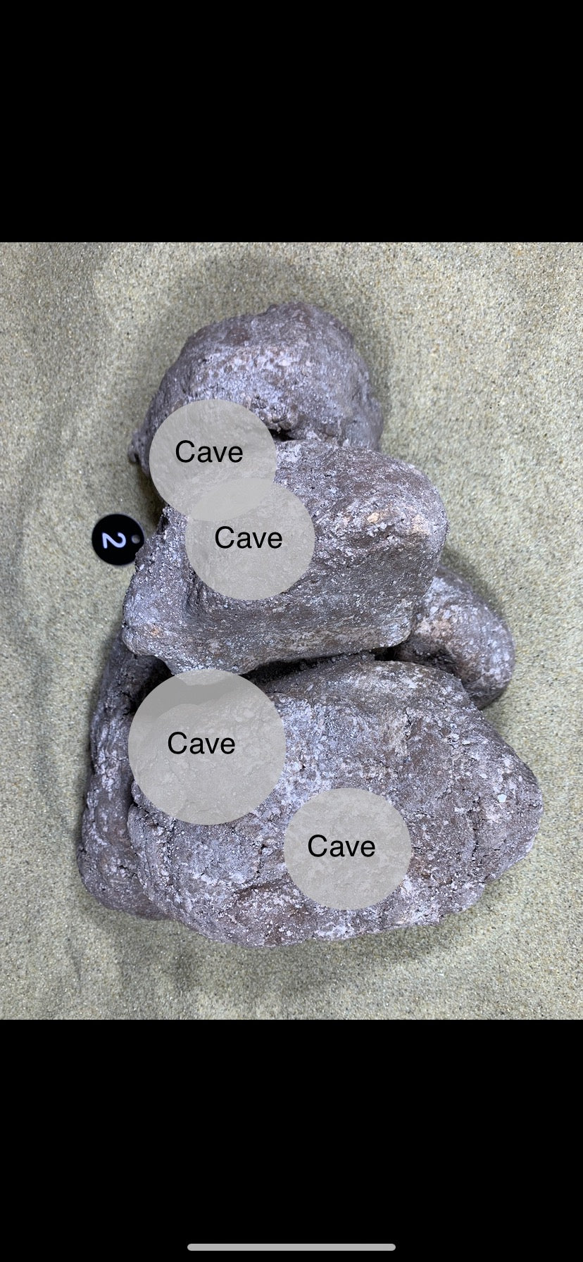 Violett-graue Aquarium-Steinstruktur mit mehreren zugänglichen Höhlen für Aquarienfische.