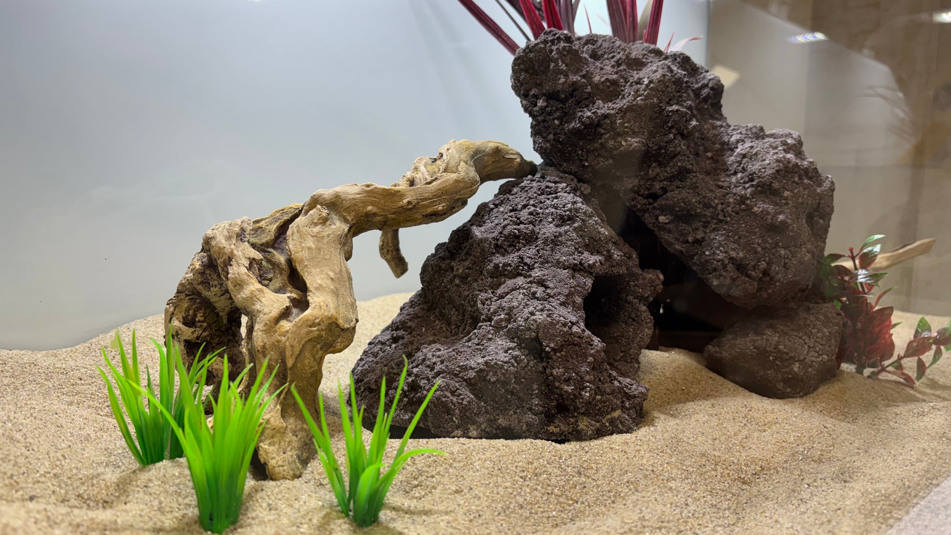 „Handgefertigte Aquarium-Höhlenlandschaft aus 100 % aquariensicherem Material – bietet zahlreiche Höhlen, Überhänge und Versteckmöglichkeiten für Garnelen, Welse, Apistogramma und andere Höhlenbrüter. Jedes Stück ein echtes Unikat von Rock-Crafts.“