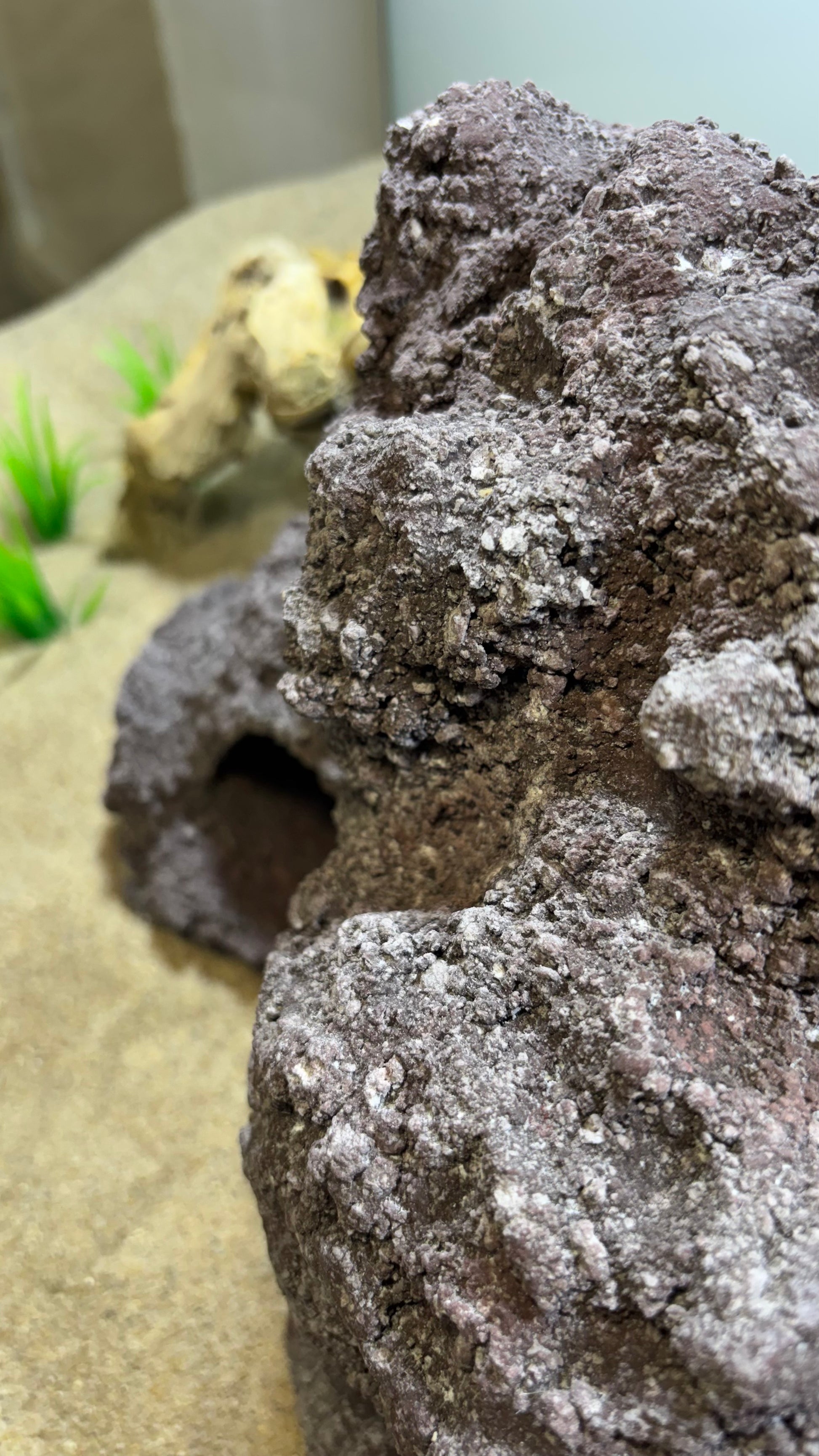 „Detailansicht der Felsstruktur – handgefertigte pH-neutrale Aquarium Höhle aus Zement“