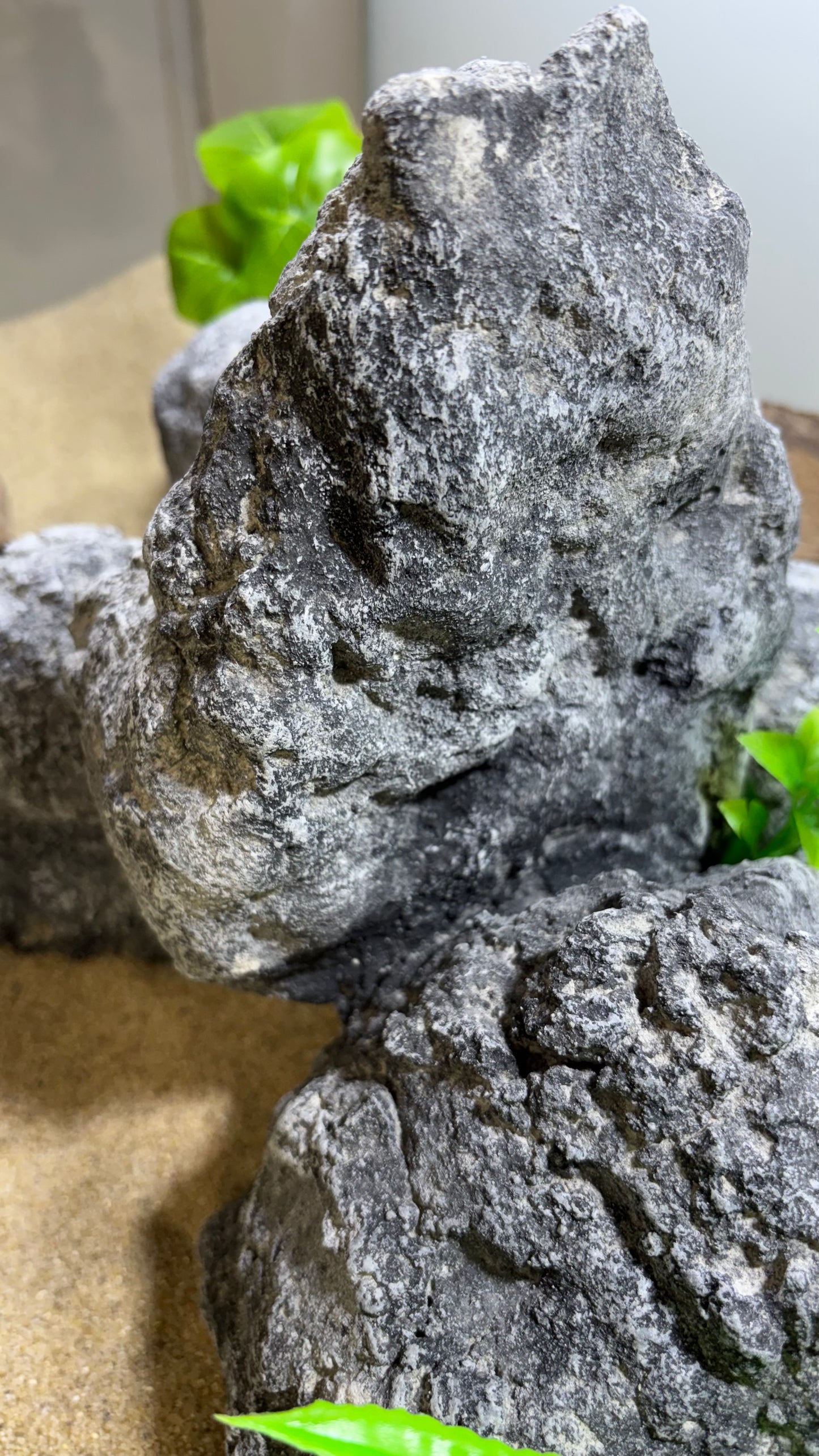 „Detailansicht der Felsstruktur – handgefertigte pH-neutrale Aquarium Höhle aus Zement“