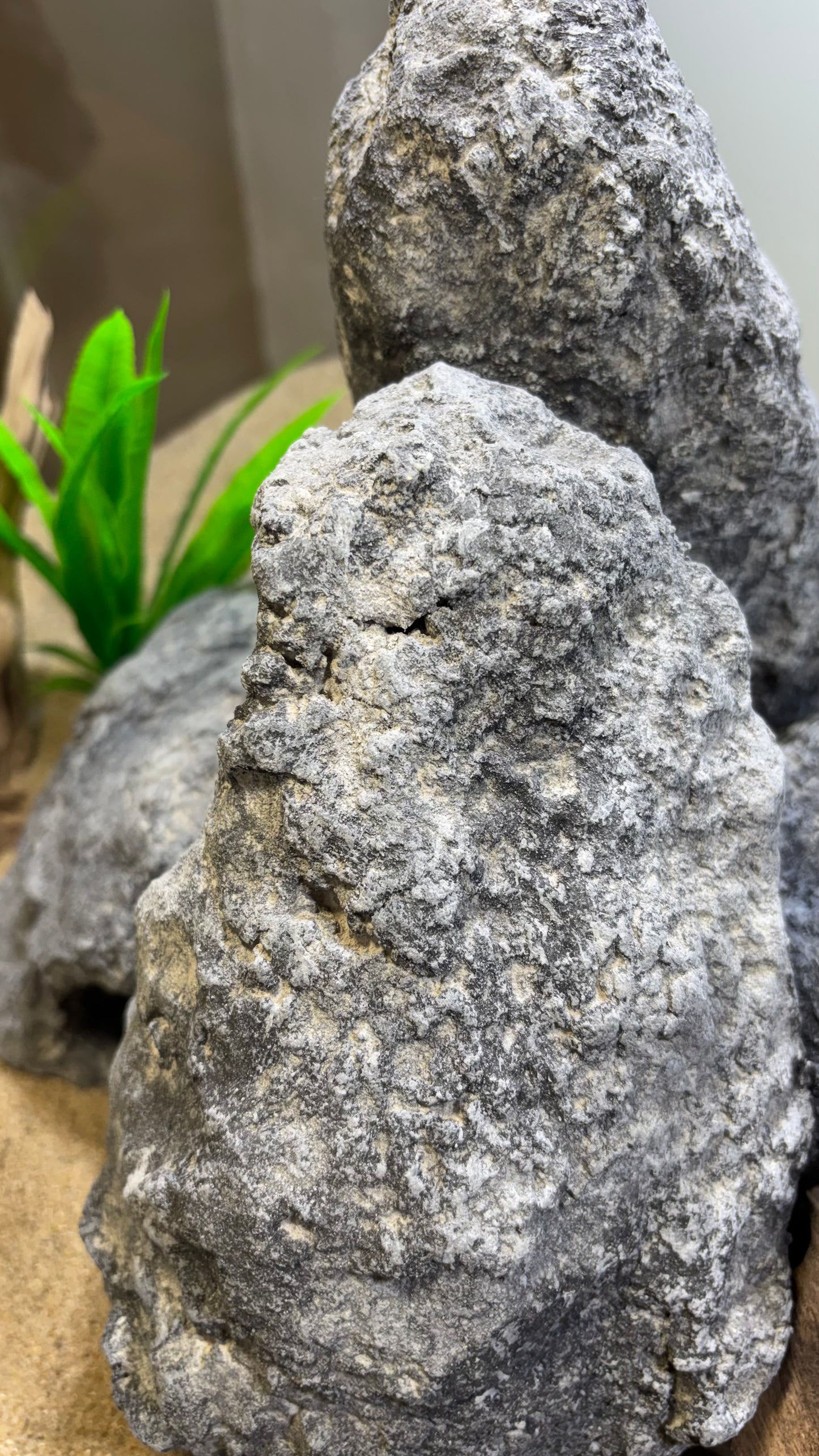 „Detailansicht der Felsstruktur – handgefertigte pH-neutrale Aquarium Höhle aus Zement“