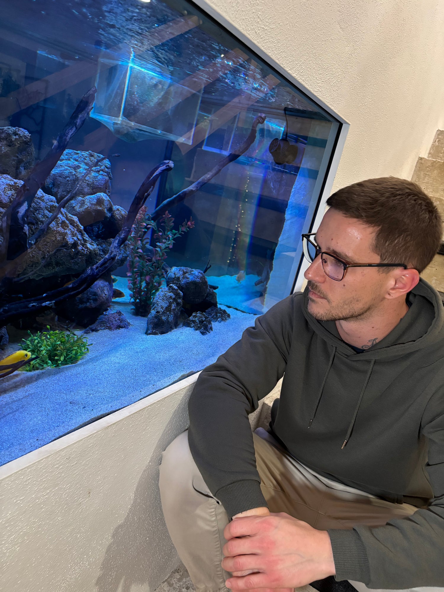 „Glücklicher Aquarianer sitzt vor seinem Traum-Malawi-Aquarium – massiver Felsaufbau, kristallklares Wasser, strahlend blaue LED-Beleuchtung und ein Schwarm lebhafter, farbenfroher Malawi-Cichliden.“