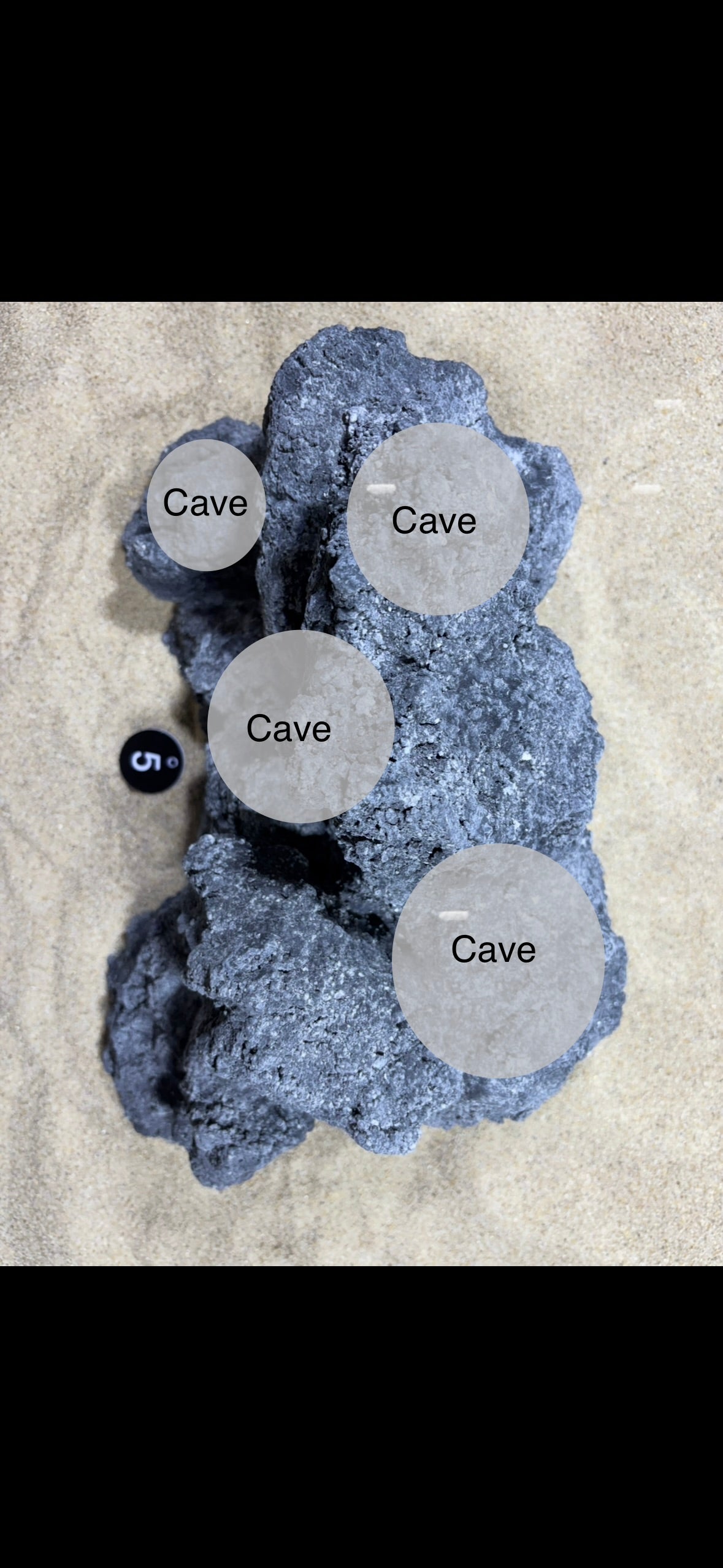 Handgemachte Aquarium-Höhlenfelsen aus aquariensicherem Material, jedes Stück ein Unikat – bietet Verstecke, Laichplätze und natürliche Optik für dein Aquascape