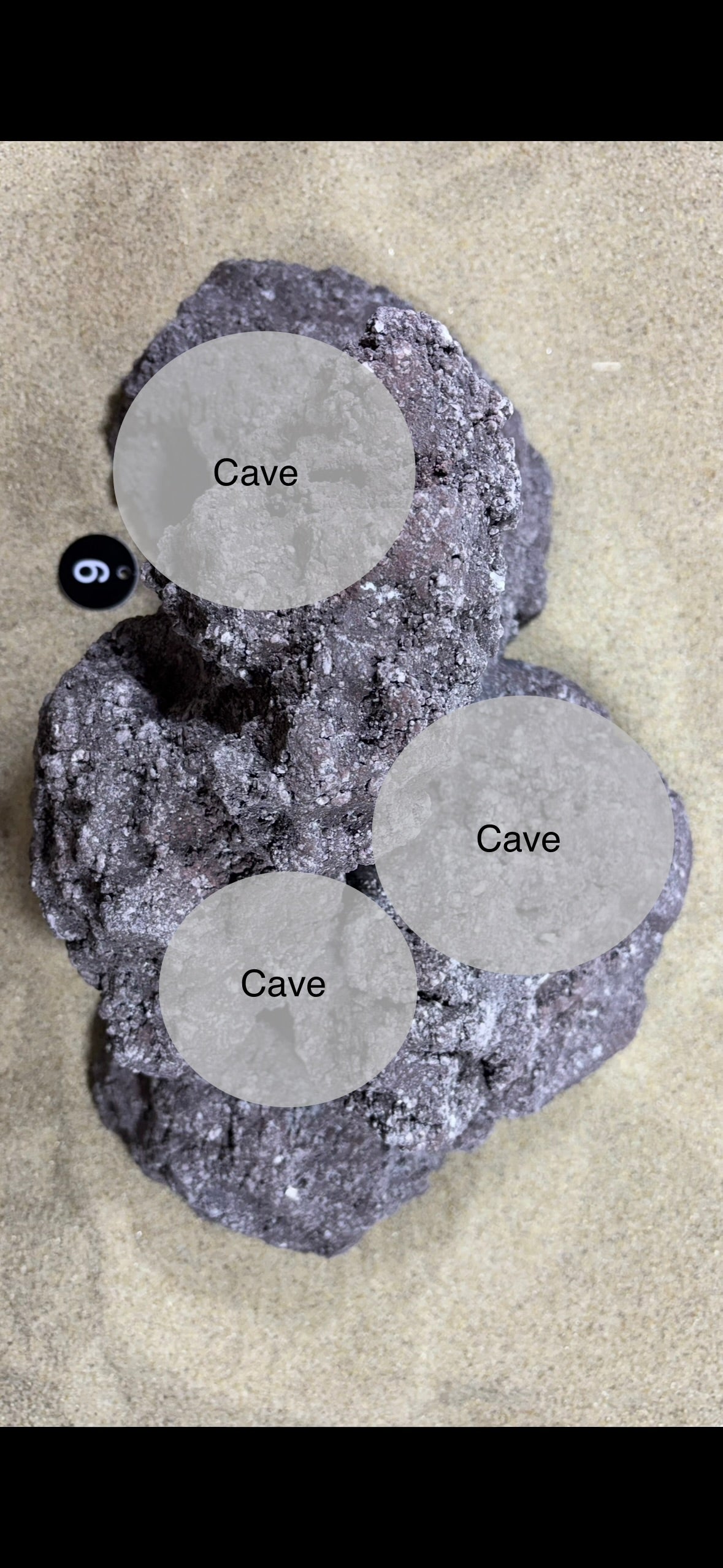 Handgemachte Aquarium-Höhlenfelsen aus aquariensicherem Material, jedes Stück ein Unikat – bietet Verstecke, Laichplätze und natürliche Optik für dein Aquascape
